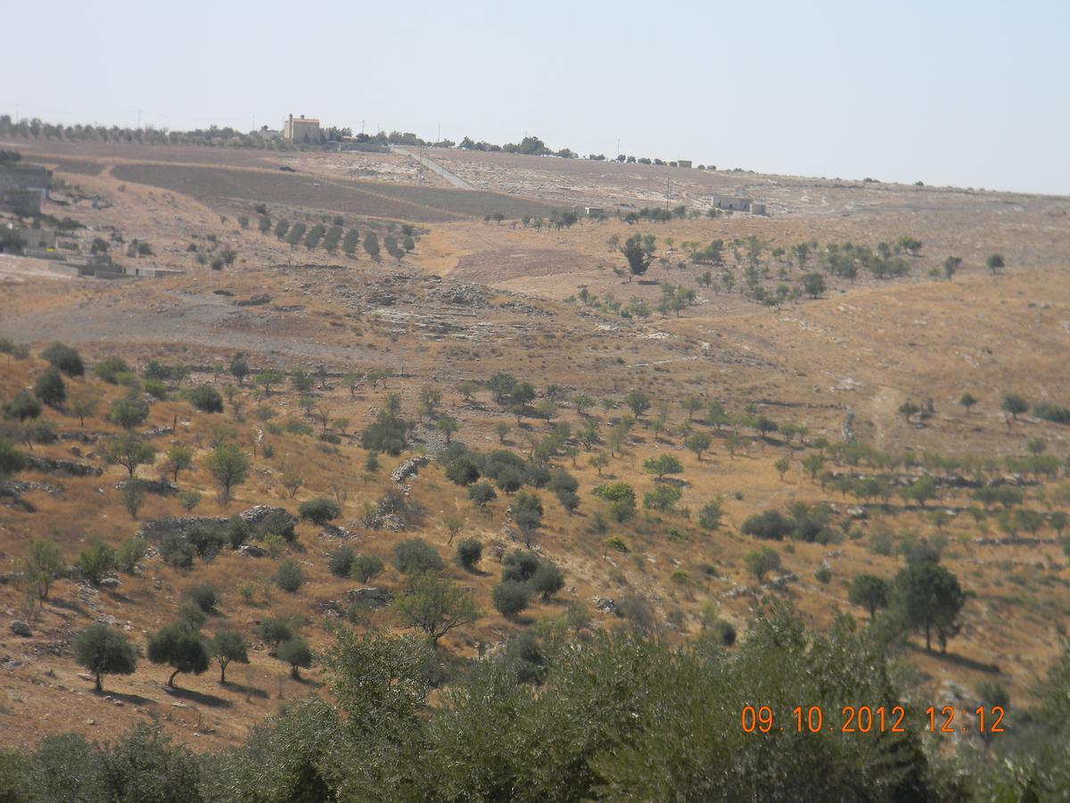 Town Of Mount Nebo Villa Madaba Exterior foto