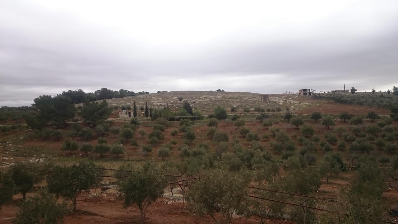 Town Of Mount Nebo Villa Madaba Exterior foto